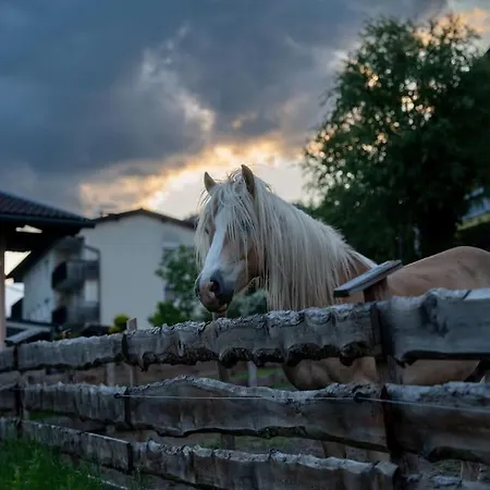 Apartament Tiny House Naehe Millstaettersee Gemuetlich & Autark *